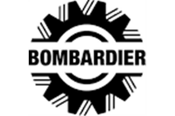 bombardier RADIAL BALL BEARING - BRPS961006000000