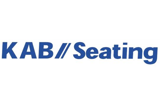 kab SEAT PVCSWITCHBELTHEADREST - T6SWBEHEADR